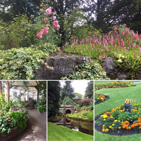 a garden restoration story with saga holidays L eWLzNe