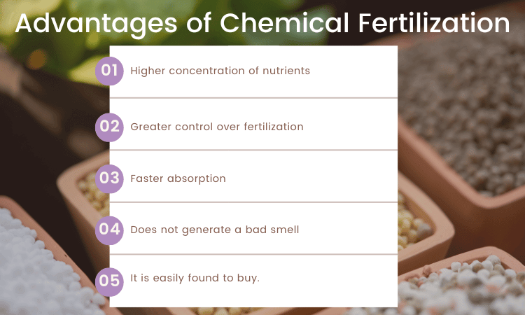 Advantages of Chemical Fertilization