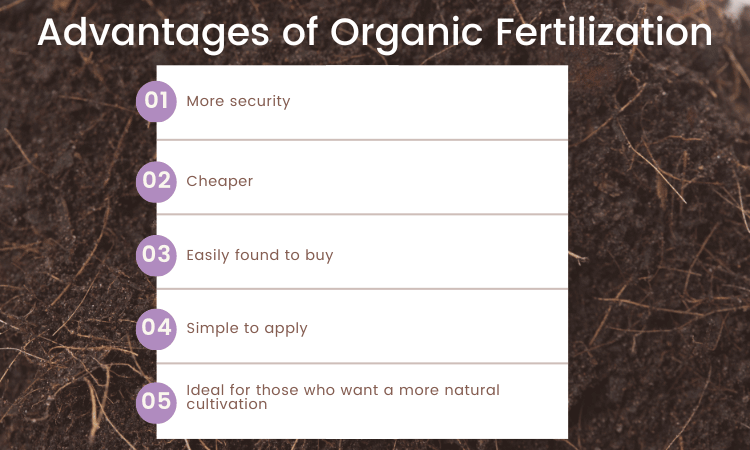 Advantages of Organic Fertilization