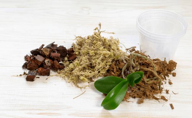 Soil for orchids