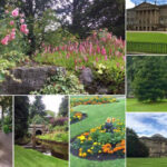 Discovering Oxford Botanic Garden: My Visit